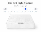 Core Ortho Mattress - Medium Firm